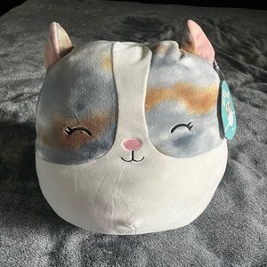 12” Pax Squishmallow